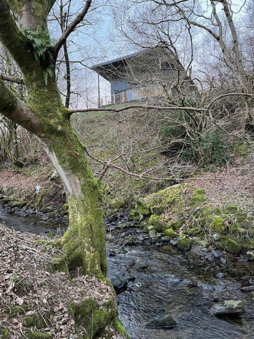 Luxury Lodge In The Treetops Llanbrynmair Exterior photo